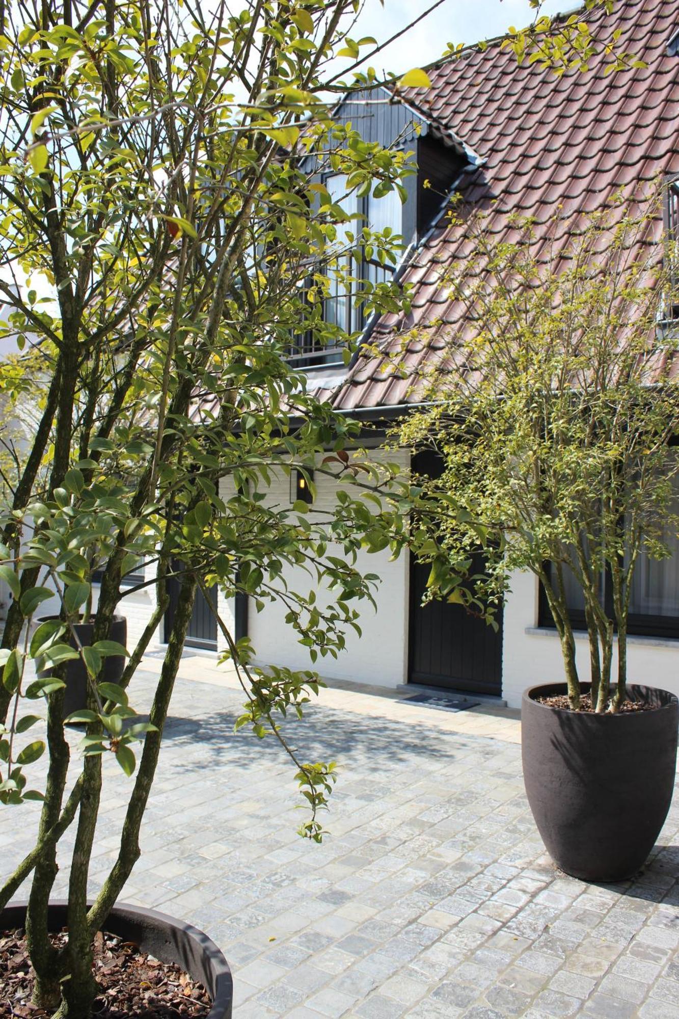 Dukes' Palace - By Dukes' Collection 4*